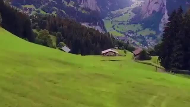 Girl And Dog In Mountains Happy Good Vibes