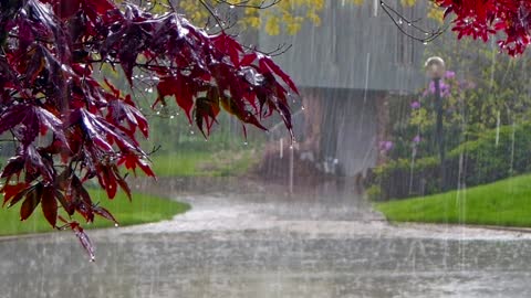 You will sleep in 3 minutes under the sounds of rain and thunder| Relaxing sound