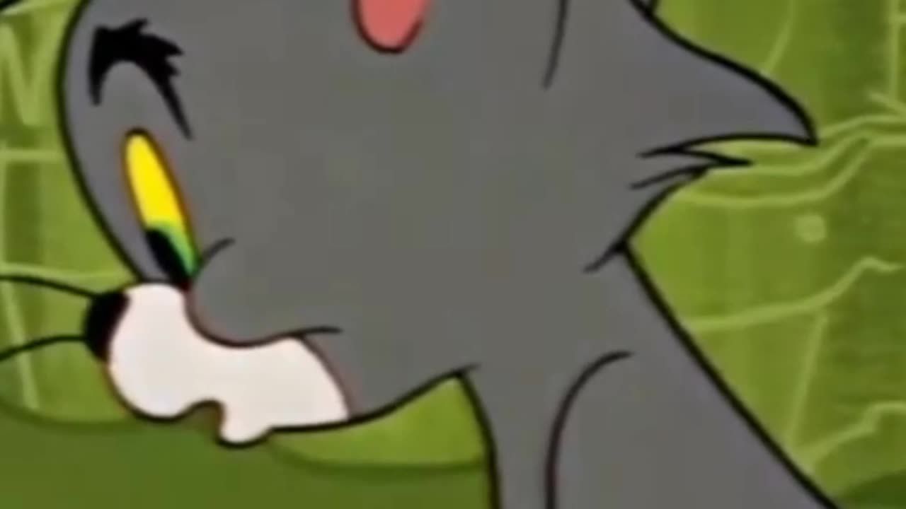 Tom and Jerry funny video