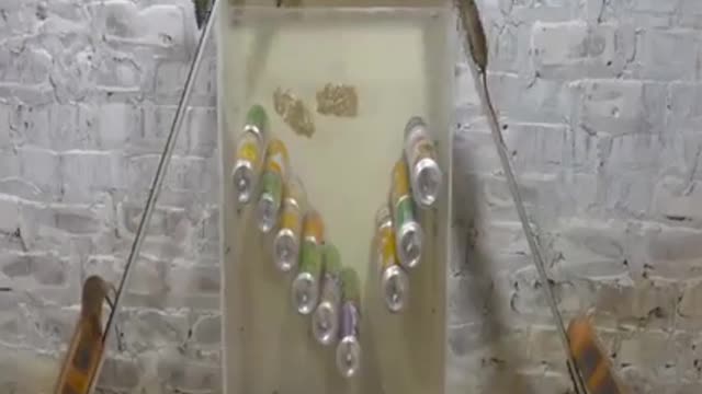 mouse trap