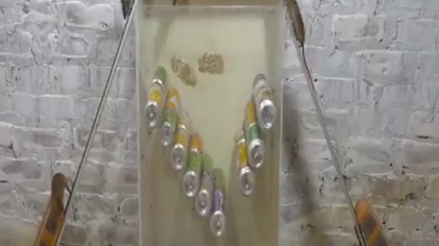 mouse trap
