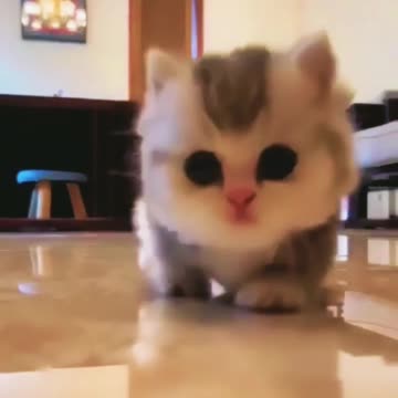 Funniest Videos 2023 😂 Funny Cats 🐱 2.m view