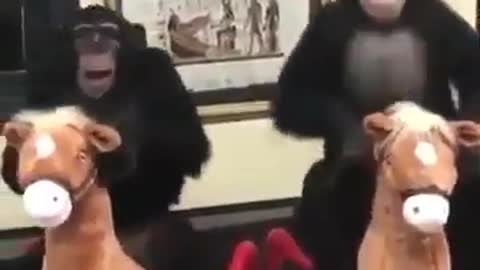 for this video, no comment