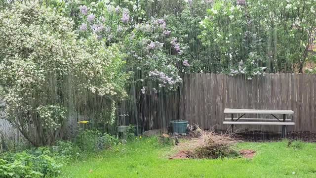 A Lovely Rain