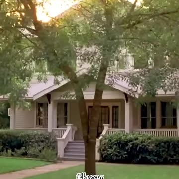 Dead Bugs Revive When They Touch Water.#shorts