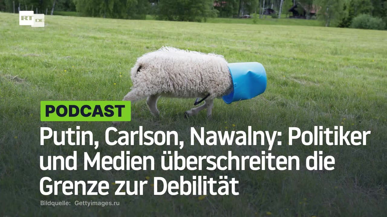 Putin, Carlson, Nawalny: Politiker und Medien überschreiten die Grenze zur Debilität