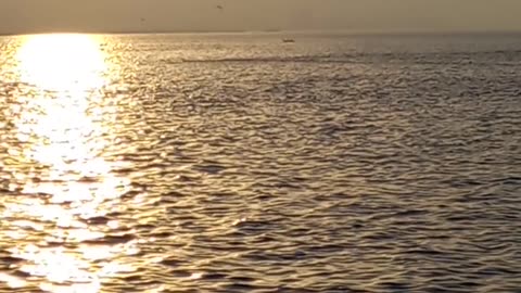 Sea and sunrise 🌅