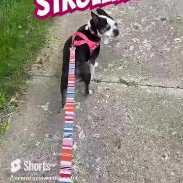 Strolling through town