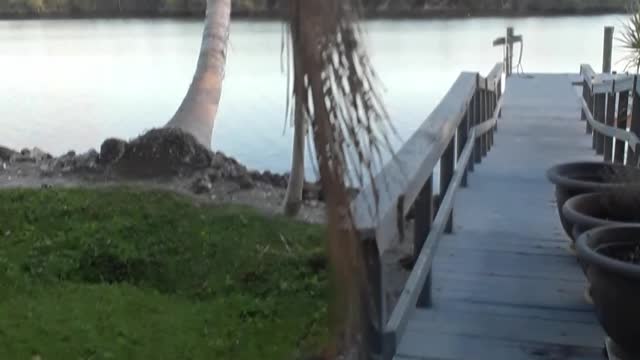 Synthetic Opioids are killing hundreds of thousands of Americans.