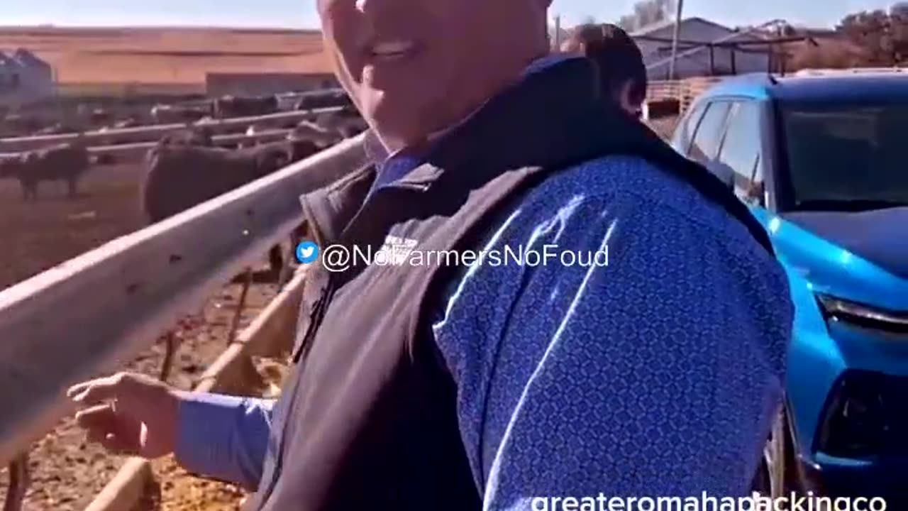 What did the University of Nebraska just say about cows?