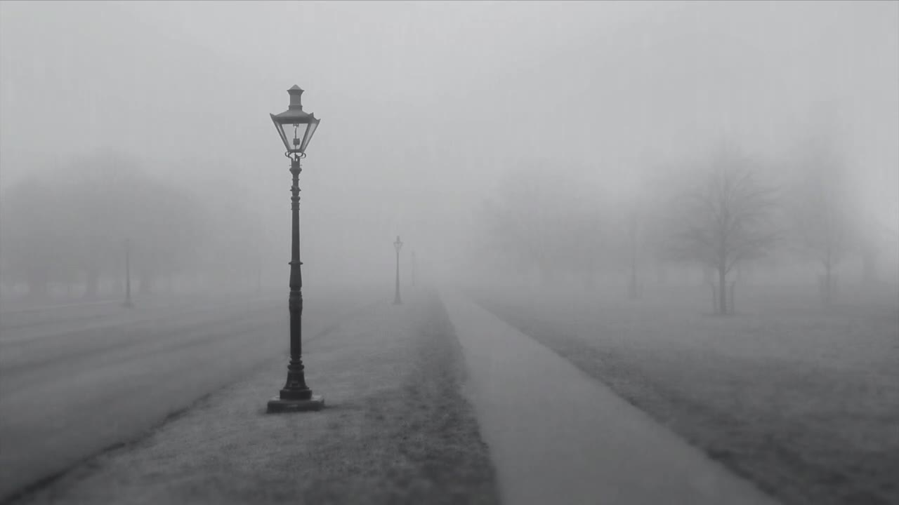 The Sound of Rain to Help You Relax
