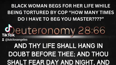 Watch this to see how the Bible is a true book!