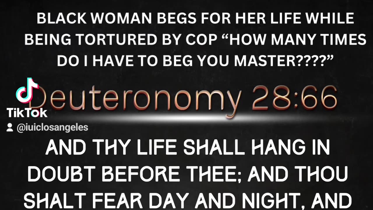 Watch this to see how the Bible is a true book!