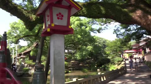 Walking through a Japanese Bridge