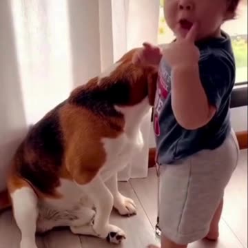 "The Surprising Truth About Dogs and Babies Being Best Friends":