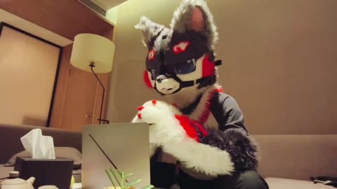 Furry Douyin #11