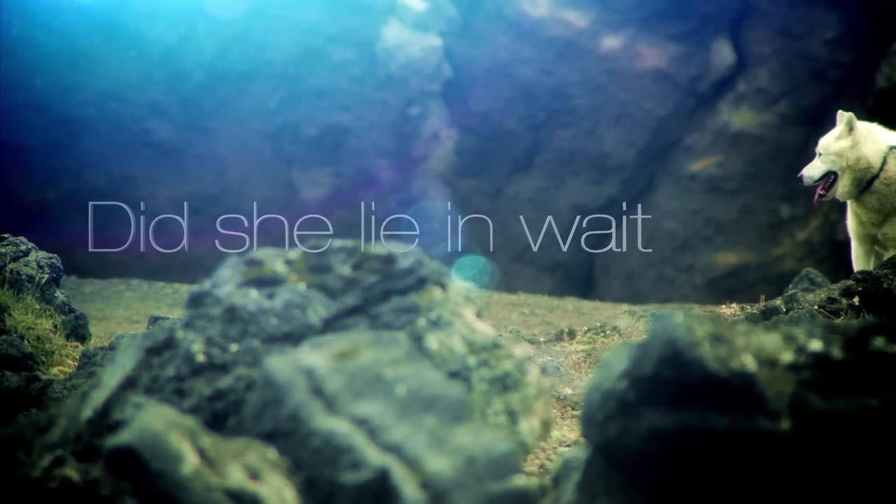David Guetta - She Wolf (Lyrics Video) ft. Sia