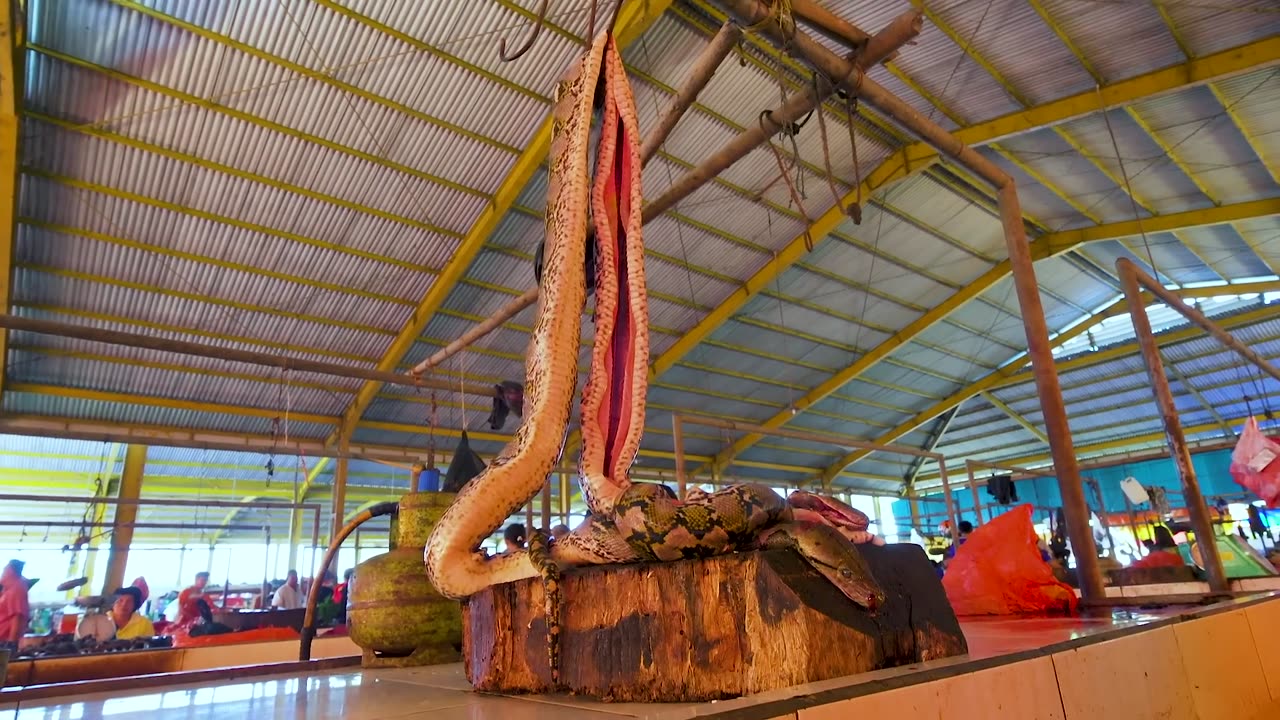 Asia's SCARIEST Meat Market! Dog, Cat, Rat, Bat and more at Tomohon Market in North Sulawesi