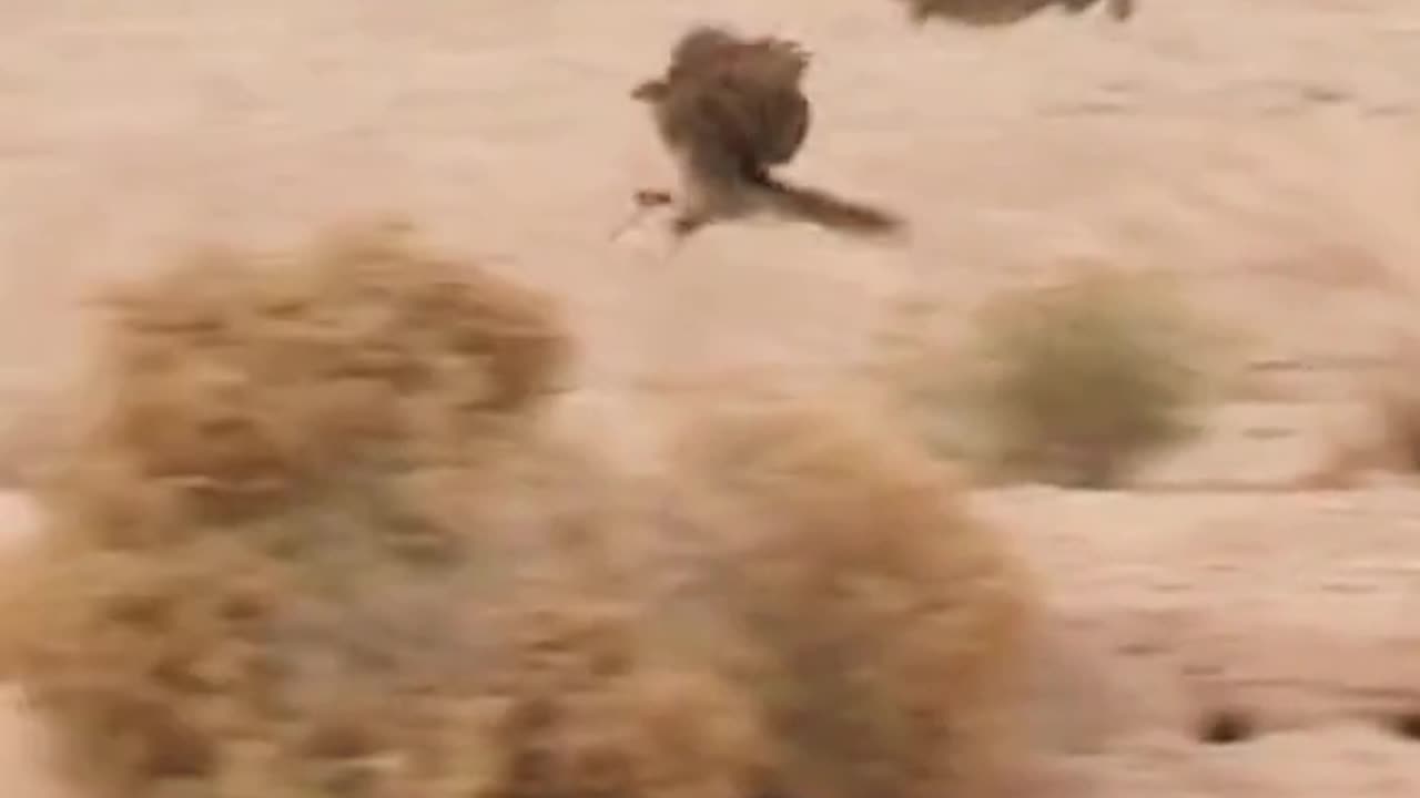 High speed this man