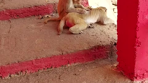 Good Friend