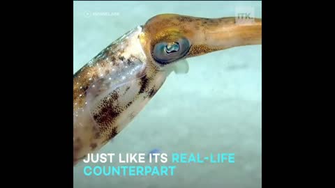 Cool Robotic Squid