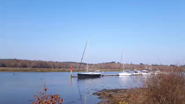 Beaulieu river . New forest
