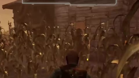 Longest chase of my life!