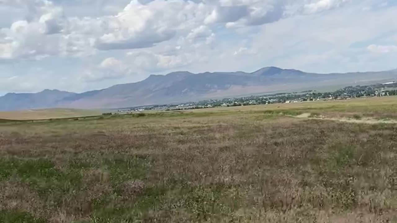 My wilderness backyard on June 24, 2023