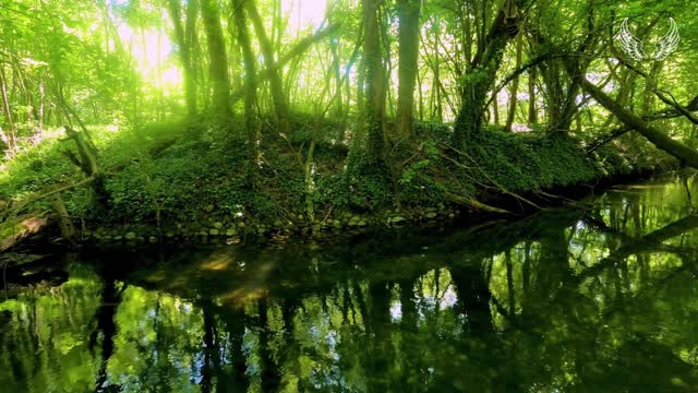 The truth about positive affirmations! and how they work.