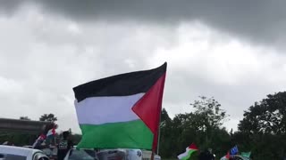 Rare footage of mauritians protest against israel state 4K