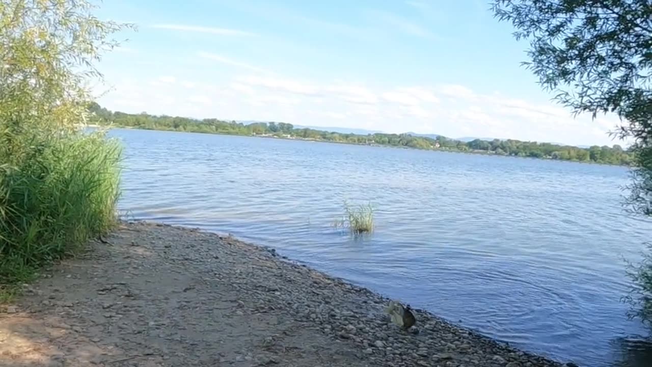I Caught the BIGGEST Pike Fish I've Ever Seen!