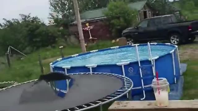 Leap from Rooftop to Trampoline Ends a Bit Short