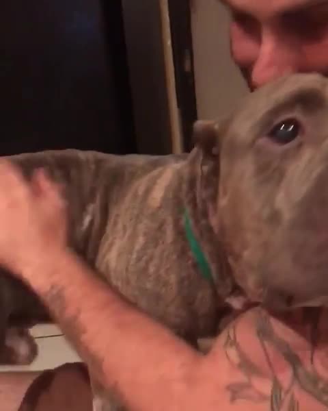 Hapi's first night with us