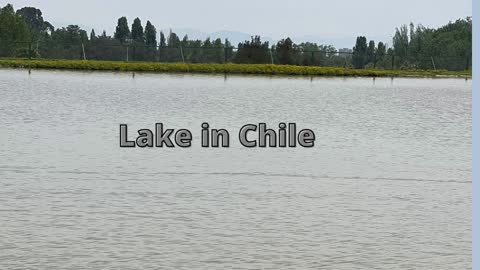 Wonders of Lake Chile