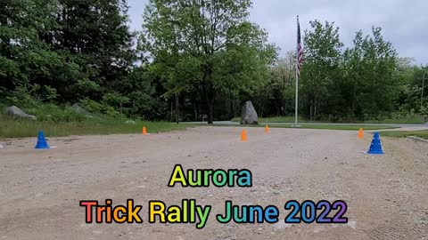 Aurora's Novice Trick Rally June 2022