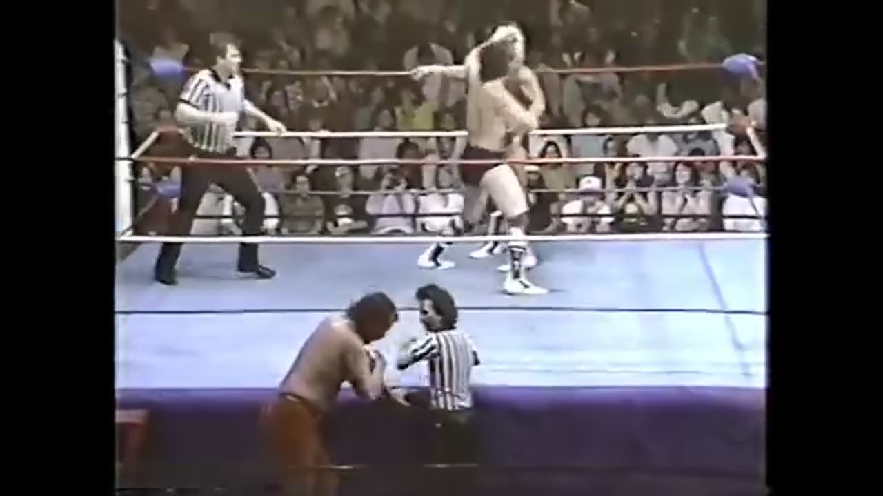 Ted Dibiase vs. Terry Taylor