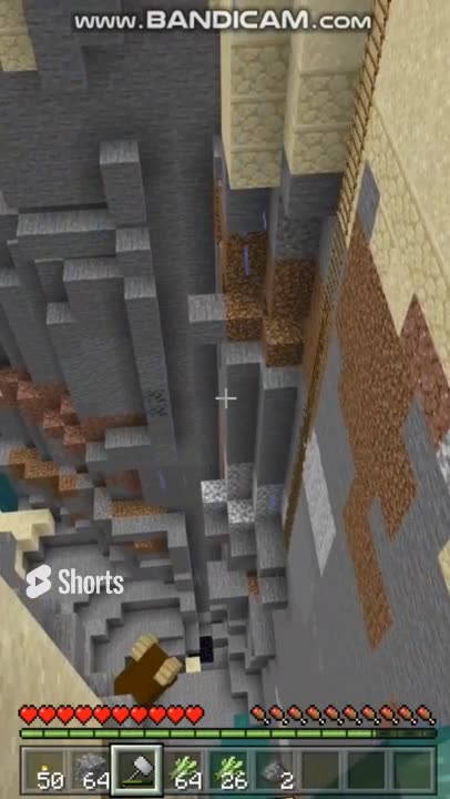 I'm Eating Underwater | SV Shorts