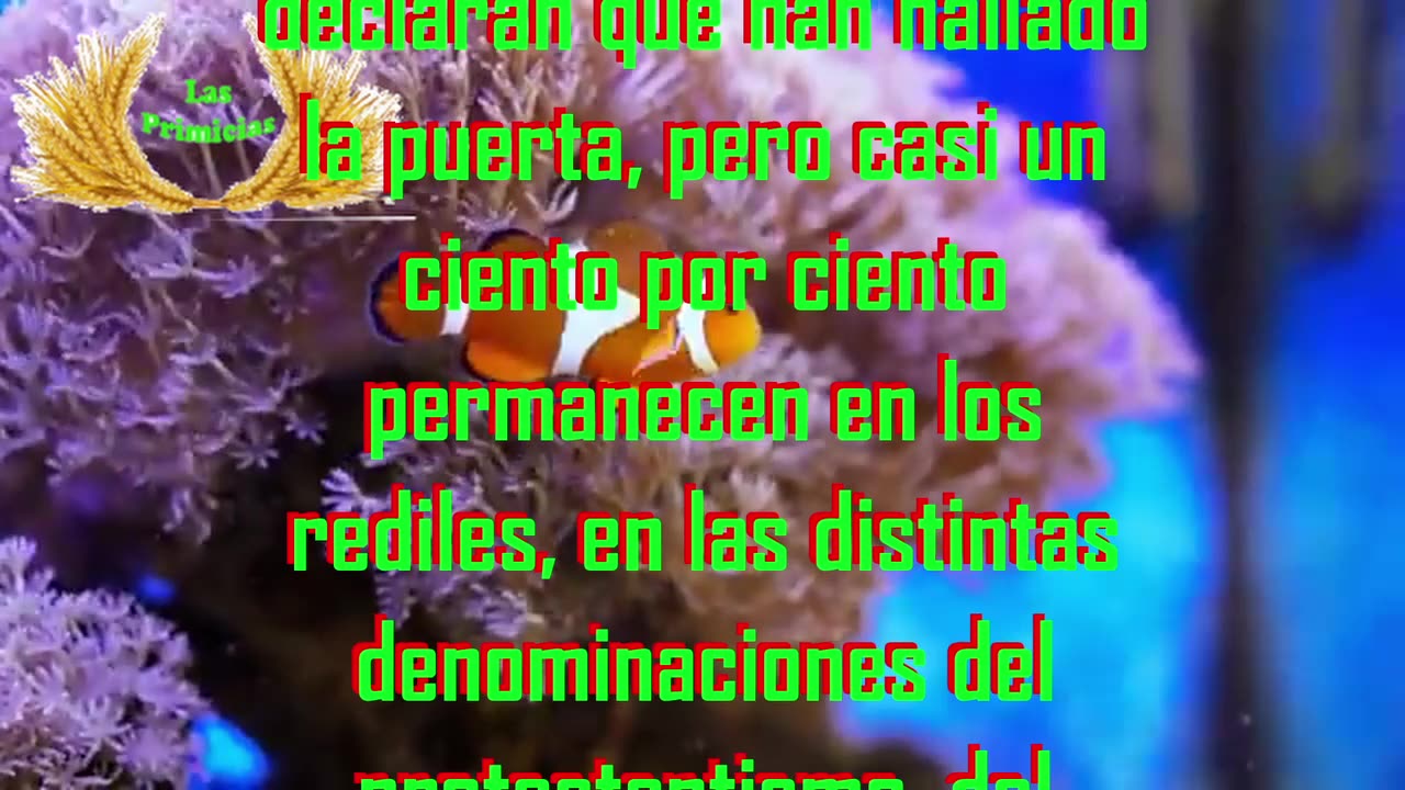 Capítulo 13 - La esencia de quienes entrarán en el reino de los cielos (6/6)