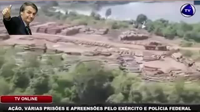 Mega ladrões estrangeiros na Amazônia