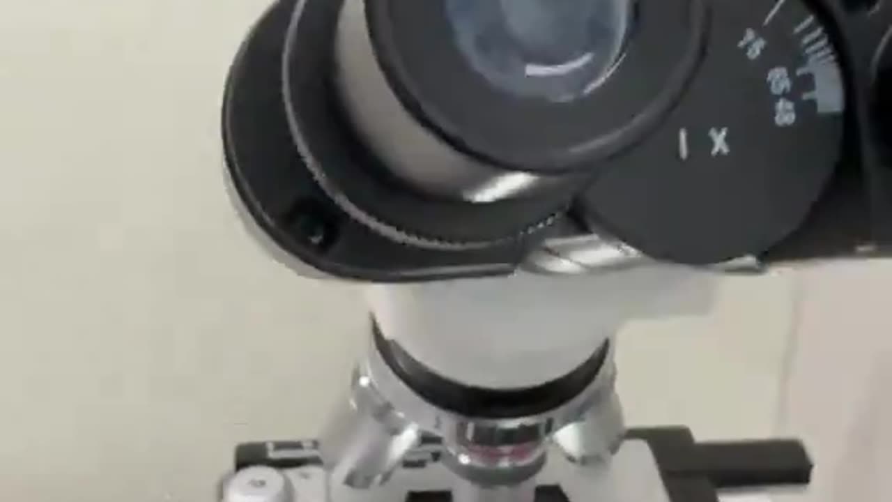 Dog saliva vs Cat under microscope