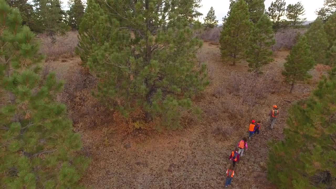 Aerial shot of a family walking through the woods hunting