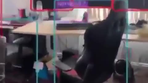 Look what an app can do