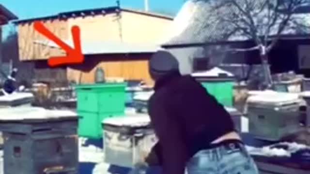 Let’s Play Snowball