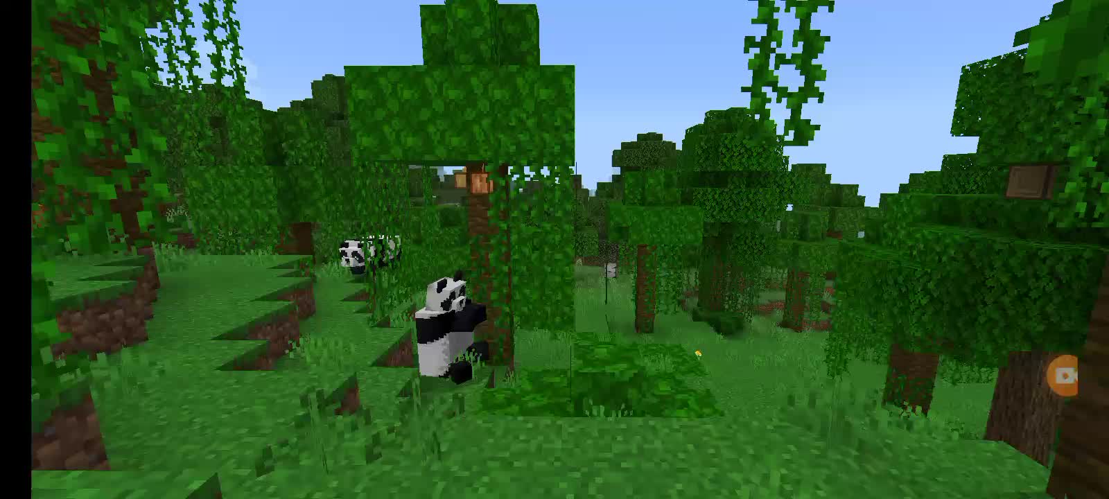 Harp music, minecraft, ambience, jungle, pandas