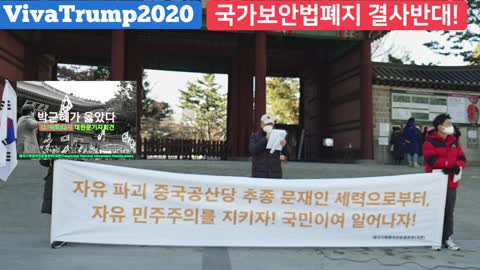 South Koreans protest against pro-China Communists