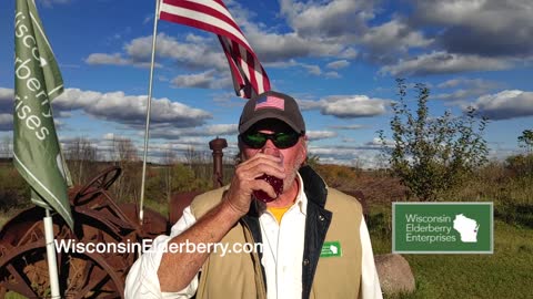 WISCONSIN ELDERBERRY