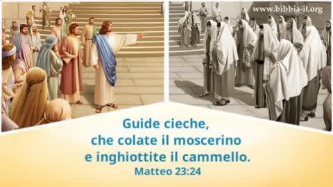 Oggi Desidero Spiegarvi il Perché Non vado D'accordo con gli Indottrinati Religiosi.