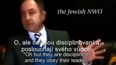 Historik a popírač holokaustu