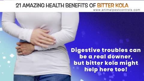 21 Reasons You Should be Eating Bitter Kola