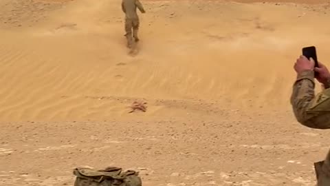 Our guys in the sandbox